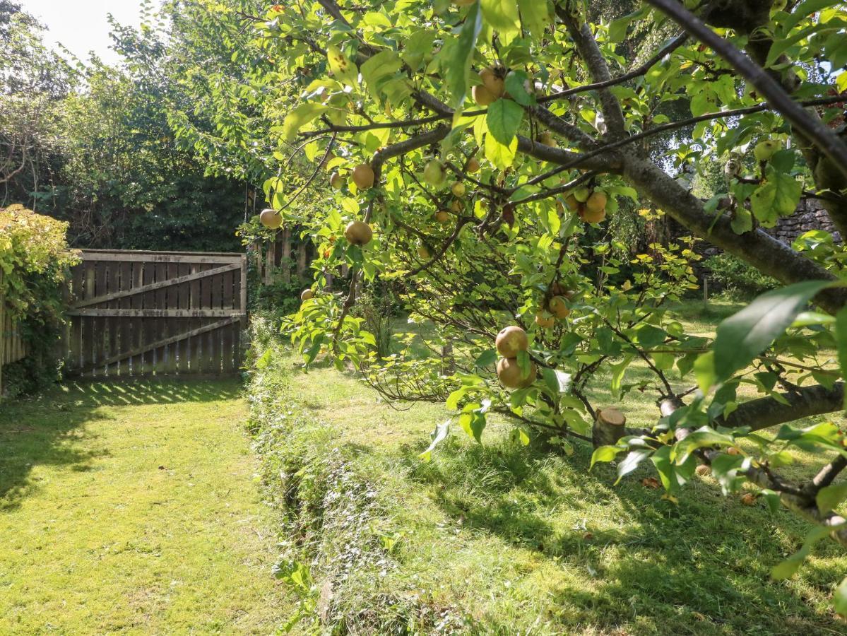 Grange-over-Sands Westmorland Cottage מראה חיצוני תמונה